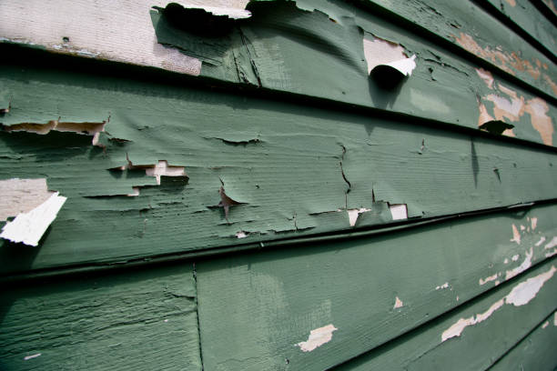 Best Commercial Junk Removal  in Haverhill, FL